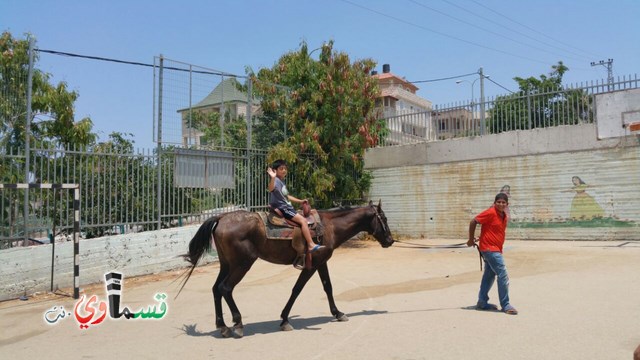 كفرقاسم - فيديو  : تعليم هواية ركوب الخيل في مدرسة جنة ابن رشد في اليوم الرابع لصيف الصادقة 